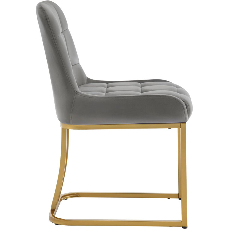 Aunna 49 cm H Velvet Cantilever Chair, Grey, 2