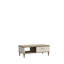 Rohil Coffee Table with Storage
