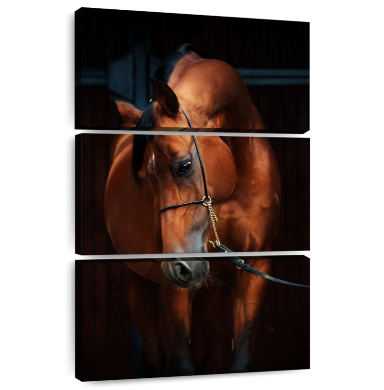 Brampt cheval dans l'écurie, H 50 po x l 32 po