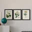 Antique Turpin Botanical IV - Ensemble de 3 peintures sur toile encadrées-1478134884-1478134885