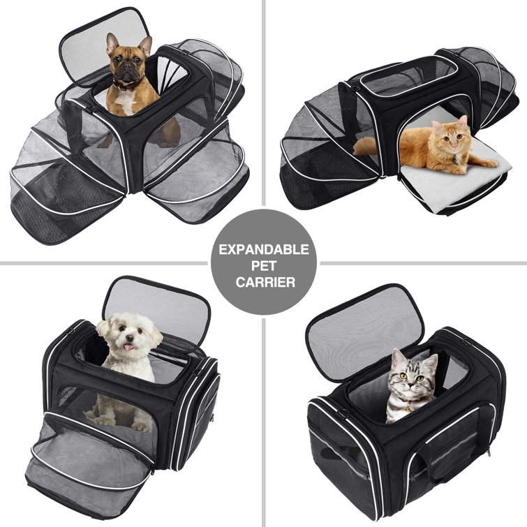 Tucker Murphy Pet™ Cat Carriers For Large Cats 20 Lbs+, Soft Sided Pet Carrier  Bag For Dogs, Portable Large Dog Carrier- Collapsible Folding Pet Travel  Carrier, Large Top Loading Cat Carrier For