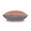 Fossil Sham