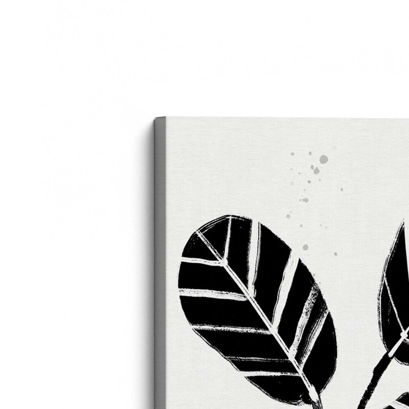 Toile tendue noire et blanche Botanicals IV, H 30 po x l 20 po