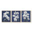 Floral Study Series LVI -Set de 3 estampes numériques giclées -Prêt à accrocher-107253422-107253424