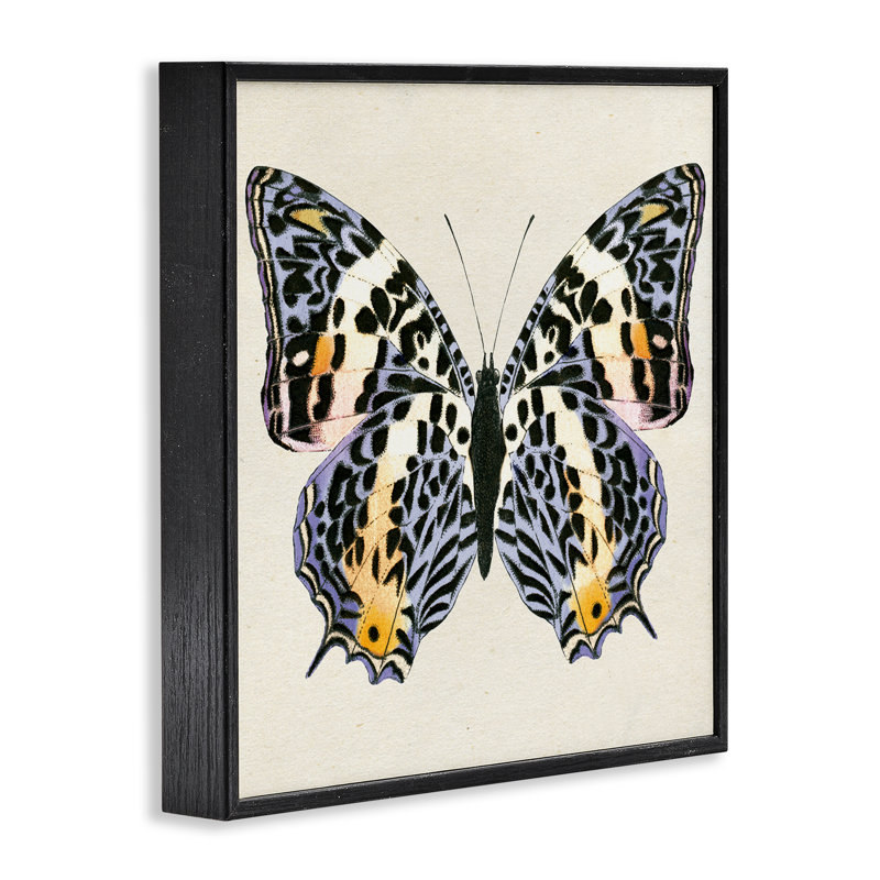  «Speckled Butterfly Sket», art de la giclée encadrée par Susan Arnot, Giclée encadrée noir minuit, H 12 po x l 12 po