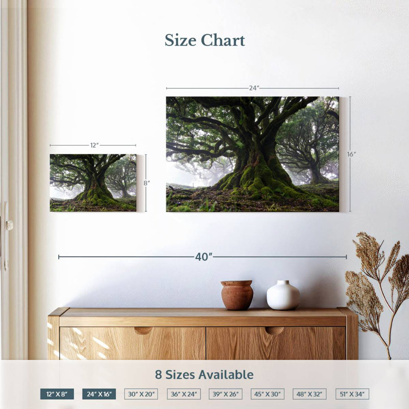 Harnek Mossy Old Trees, H 16 po x l 24 po