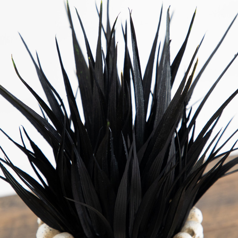 9 po Plante grasse artificielle noire en crâne gothique