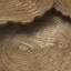 Quercus Nesting Coffee Table