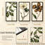 Wall Decor-1494394051