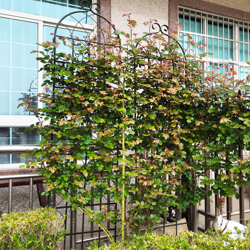 Porte-plantes en métal 86,7 po x 19,7 po x 2 po, noir, facile à installer et à assembler pour l'extérieur