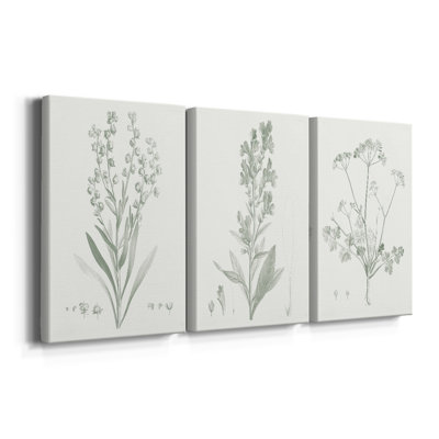Botanical Study in Sage I  -Custom Wrapped Gallery Canvas - 3 Pieces