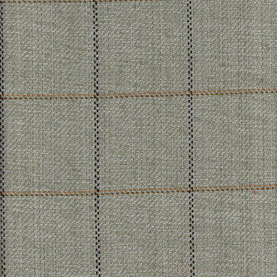 Frazier 100% Cotton Fabric