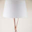 Casden 154cm Tripod Floor Lamp Set-2087678454-2087678455