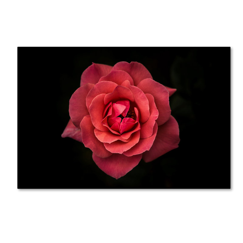 «Simplicity is Beauty», reproduction de photo sur toile tendue, H 12 po x l 19 po x P 2 po, Toile tendue