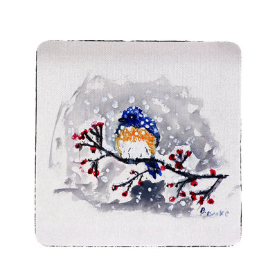 Oiseau à neige Meserve