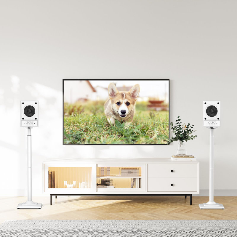 Universal Floor Speaker Stands