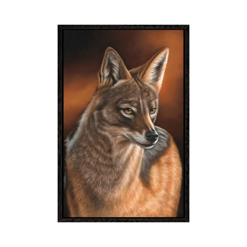 Jackal by Richard Macwee - Floater Frame Gallery-Wrapped Canvas Giclée on Canvas, 66.04 cm H x 45.72 cm W, Black