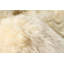 Tapis beige / blanc Estes New Zealand-957549678