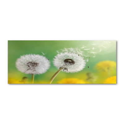 Dandelions - Wrapped Canvas Print