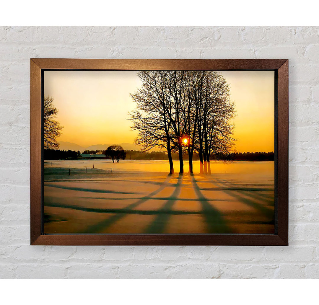 Gerahmtes Leinwandbild Winter Tree Sunrise Golden