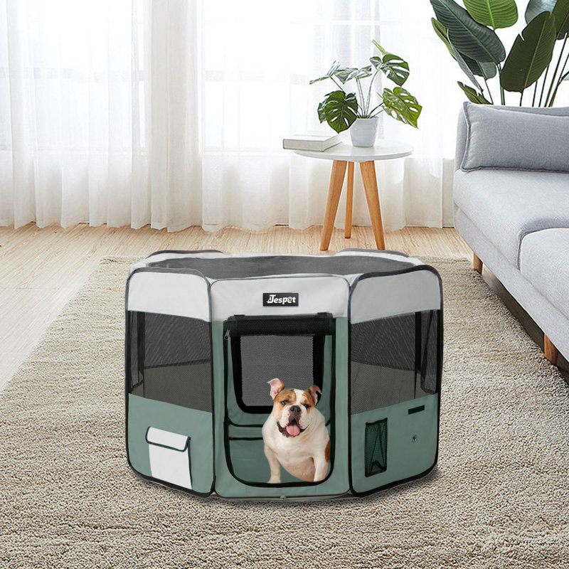 Enclos pour animaux doux, Vert de schiste, H 24 po x l 36 po x P 36 po