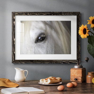 Balearic Island Horse, impression sur papier