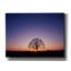 «Sundown» par PhotoINC Studio-12618270