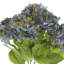 Fall Hydrangea Bouquet-52671678