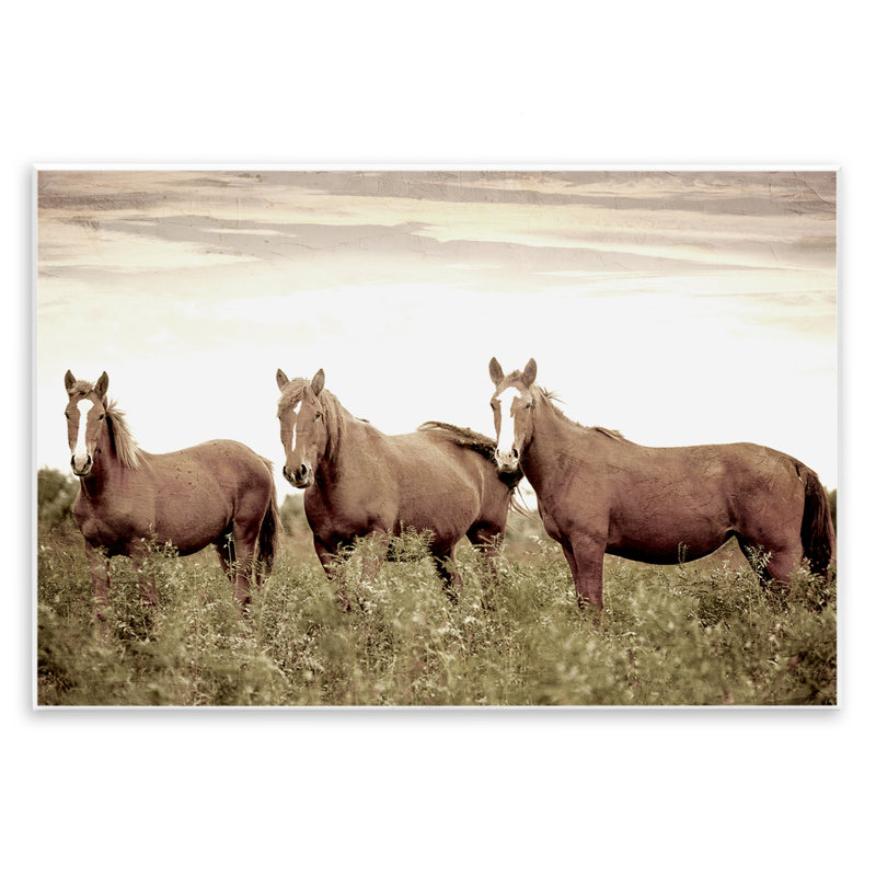 «Horse Trio Gaze» par Kim Allen, H 13 po x l 19 po