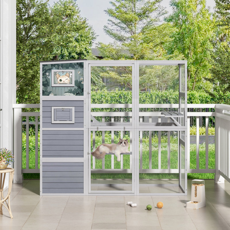 Cat Cage