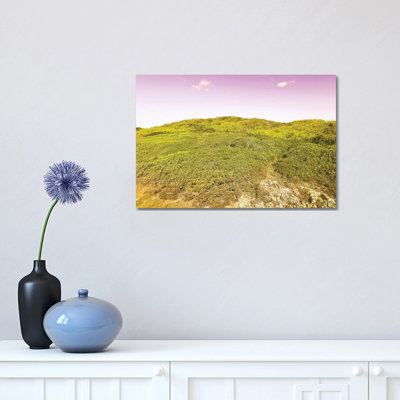 Wild Nature by Beli - Wrapped Canvas Print
