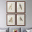" Barn Owl " 4 - Pieces-868360934-868360935