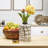 Elements Ceramic Ginger Jar