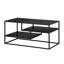 Four Leg Coffee Table with Storage-70211115