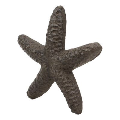Étoile de mer ocean sea coquillage Nellie