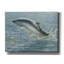 "Epic Graffiti" Salmon "par Wellington Studio, art mural sur toile-106171644