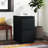 15'' Wide 2 -Drawer Mobile Steel File Cabinet-10428620