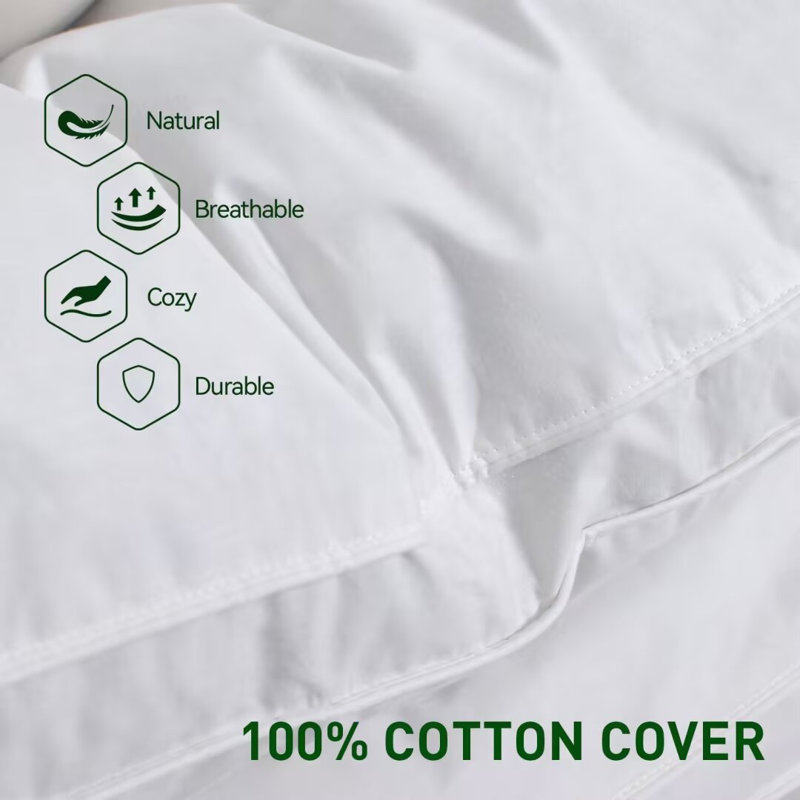 Grand oreiller en duvet et plumes d'oie Alwyn Home (ensemble de 2)