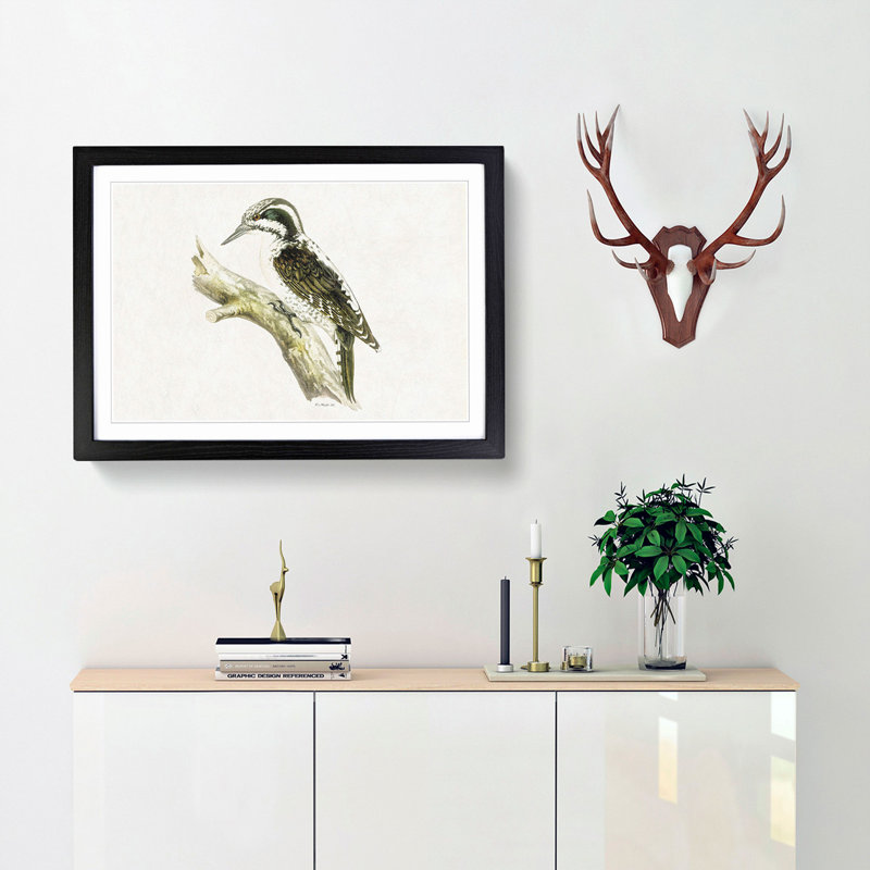 Three-Toed Woodpecker by Von Wright - Picture Frame Painting Print, 27cm H x 36cm W x 2cm D, Black Framed