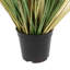 Potted Grass with Cattail Seed Heads (5pk)-490455481