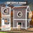 Genut Cat House