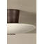 Troy Lighting Albus 15.75 inch wide 1 Light Integrated LED Semi Flush in Bronze Leaf