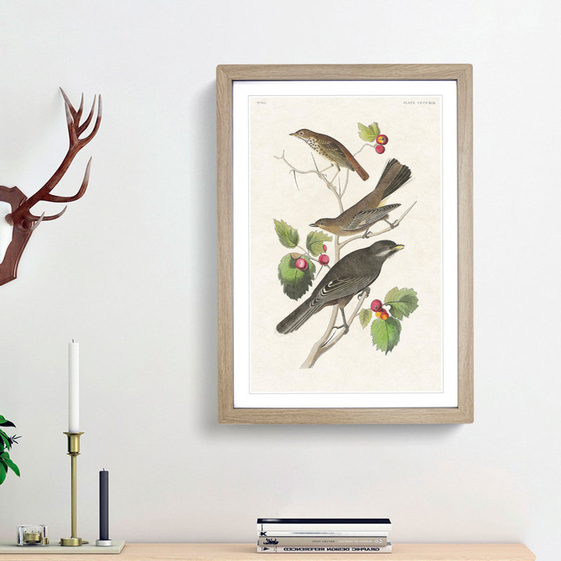 Selection of Birds by John Audubon - Picture Frame Painting Print, 65cm H x 48cm W x 2cm D, Oak Framed