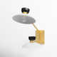 Viera 2 Light Glass Steel Dimmable Plug-in Swing Arm Sconce