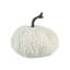 Citrouille lestée de chenille-686410