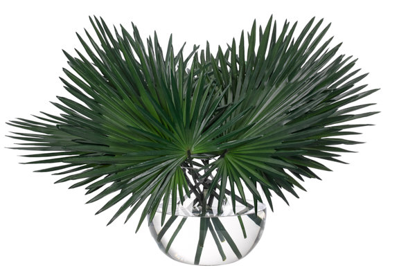Fan Palm, Green, Glass Bubble, 34wx26dx28h