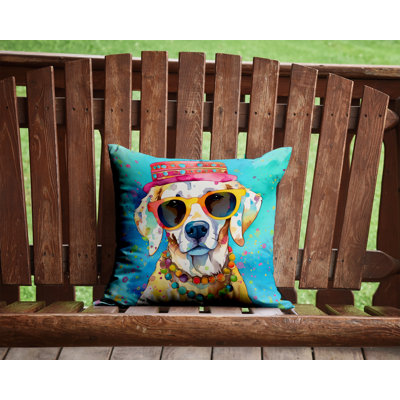  Other/No Pattern Throw Pillow