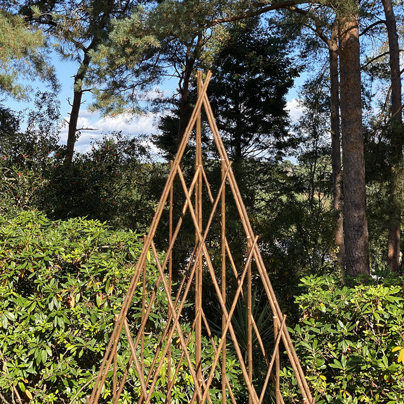 Alitzah Wood Expanding Trellis, 150"H x 45" W x 45" D