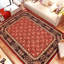 Tapis rouge / noir en laine noué à la main de style oriental Silke 8 pi 10 po x 11 pi 9 po Silke