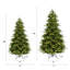 Christmas Tree-242808975